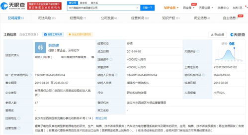 探索软件信息咨询服务的价值与应用